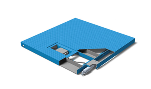 Floor Scale